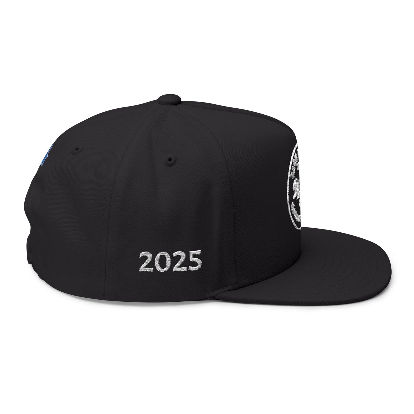 Los Angeles Dodgers 4 sided Embroidered Flat Bill Snapback Cap