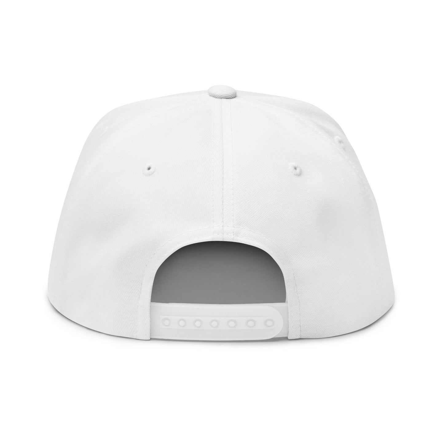 Villains Of The MLB Embroidered Flat Bill Snapback