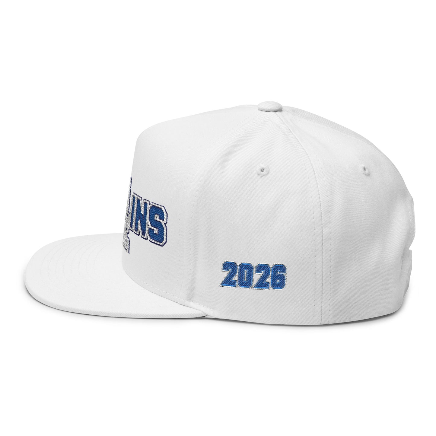 Villains NINE Embroidered Flat Bill Cap Snapback